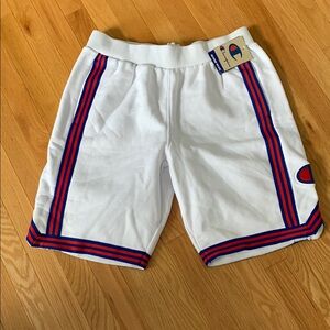 🏀MENS CHAMPION LOGO STRIPE HEAVYWEIGHT SHORTS🏀